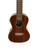 Used Kala KA-CGE Ukulele Wood 41134-S000010347 View 2