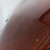 Used ANDREAS EASTMAN VC 315 CELLO 4/4 Cello 4/4 Size 40081-S000115367 View 16
