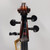 Used ANDREAS EASTMAN VC 315 CELLO 4/4 Cello 4/4 Size 40081-S000115367 View 5