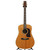 Used Washburn D-21S/N Solid Top Acoustic Guitar Natural View 3