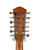 Used Fender CD-160E/12 12-String Acoustic/Electric Guitar 41115-S000119903 View 6
