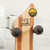 Used Sire Marcus Miller M6 Bass Guitar Red 5-String 40015-S000344586 View 6