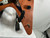 Used Firefly CLASSIC V Pointy Electric Guitar Wood 6-String 40012-S000319655 View 9