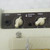 Used Vox Pathfinder 10 Limited Edition 1 x 10 Solid State Amplifier 1 x 10 40042-S000279156 View 4