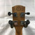 Used Alvarez GDU26C-ROSES Ukulele Other 41125-S000043314 View 6