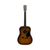 Used Hohner LEYANDA LW700 ANTIX ACOUSTIC W/HSC Vintage Solid Top Acoustic Guitar Tobacco Sunburst 41126-S000093748 View 2