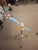Used PEARL SINGLE BRACED BOOM STAND Boom Stand 41116-S000054572 View 1