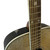Used Daisy Rock 6206 Laminate Top Acoustic Guitar Other 40009-S000318997 View 3