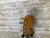 Used APOLLO JAPANESE BASS Vintage 41138-S000101690 View 14
