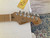 Used Fender AMERICAN PRO II ROASTED NECK 41138-S000101697 View 2