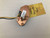 Used Fender TWISTED TELE BRIDGE Pickup 41138-S000101701 View 4