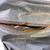 Used Ludwig 14" Drum Bag (Busted Zipper - Still Closes) 40090-S000086403 View 3