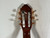 Used Samick WOODS DC-015G CLASSICAL Laminate Top Acoustic Guitar Wood 40012-S000319845 View 13