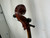 Used Amati MODEL 95 CELLO 4/4 Cello 4/4 Size 40012-S000319959 View 16