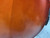 Used Amati MODEL 95 CELLO 4/4 Cello 4/4 Size 40012-S000319959 View 19
