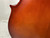 Used Amati MODEL 95 CELLO 4/4 Cello 4/4 Size 40012-S000319959 View 20