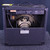 Used Peavey AUDITION PLUS AMPLIFIER 1 x 8 Solid State Amplifier 1 x 8 41140-S000143005 View 5
