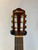 Used Ibanez AEG10NII-TNG Solid Top Acoustic Guitar 41127-S000062994 View 4