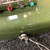 Used Squier JAZZ BASS CLASSIC VIBE 60S J Type Bass Guitar Green 4-String 40111-S000198242 View 5