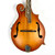 Used Michael Kelly Legacy Dragonfly Mandolin 41103-S000061265 View 1