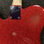 Used Squier TELECASTER HH RELIC MODIFIED RAILHAMMER T Type Electric Guitar Red 6-String 40111-S000198262 View 12