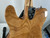 Used Fender CLASSIC SERIES 72 TELE THINLINE T Type Electric Guitar Natural 6-String 40012-S000320082 View 12