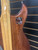 Used Ibanez MC300 Double Cut Electric Guitar Wood 6-String 41116-S000054857 View 12