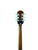 Used Epiphone LES PAUL STANDARD LP Type Electric Guitar Goldtop 6-String 41136-S000159068 View 6