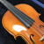 Used Eastman VL80 1/2 Violin Outfit 40051-S000120961 View 3