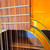 Used Epiphone TEXAN 12 STRNG Solid Top Acoustic Guitar Sunburst 41108-S000067675 View 3