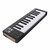 Used Arturia MICROLAB MK3 25-Key Controller 25-Key View 1