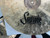 Used Soultone ABBY CRASH 18IN Crash Cymbal 18" 40012-S000320332 View 7
