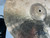 Used Soultone ABBY 20 IN RIDE Ride Cymbal 20" 40012-S000320333 View 3