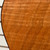 Used - Cordoba MINI II FMH Acoustic Guitar 40087-S000245003 View 13