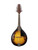 Used Johnson MA-100 A-Style Mandolin 41115-S000120328 View 2