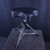 Used Gibraltar DRUM THRONE Drum Throne 41140-S000143471 View 1