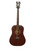 Used D'Angelico PREMIER LEXINGTON Laminate Top Acoustic Guitar Wood 41134-S000010729 View 1
