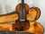 Used SAXONY 4/4 VIOLIN Violin 4/4 Size 40012-S000320591 View 2
