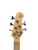 Used Michael Kelly ELEMENT 5OP Modern Metal Bass Guitar Other 5-String 41134-S000010771 View 2