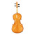 Used ANDREW SCHROETTER 420 4/4 Violin 4/4 Size 41130-S000013375 View 2