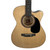 Used Rogue RA090T-CENA Laminate Top Acoustic Guitar Natural 41120-S000040475 View 1