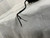 Used JMFC SIGNATURE BRIDGE PICKUP Guitar Pickup 40012-S000320747 View 6