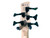 Used Ibanez GSR 205SM J Type Bass Guitar Wood 5-String 41136-S000159331 View 6