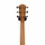 Used Taylor 214CE DLX Solid Top Acoustic Guitar Natural View 5