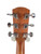 Used Alvarez RF210 Regent Folk Acoustic Guitar  41115-S000120490 View 6