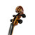 Used Meisel 6110 Violin 4/4 Size 41119-S000040218 View 6