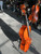 Used NIKOLAS 4/4 Cello  41132-S000015325 View 2