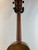 Used Martin T1K Tenor Ukulele 41127-S000063419 View 6
