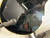 Used Epiphone LP CUSTOM PRO LP Type Electric Guitar Black 6-String 40012-S000321101 View 20