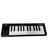 Used Korg MICROKEY-25 25-Key Keyboard 25-Key 40009-S000320344 View 1